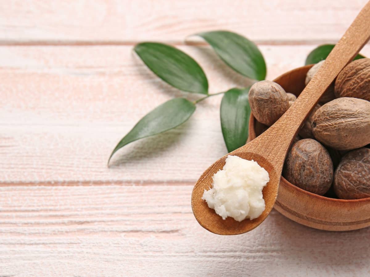 Shea Butter Benefits for Skin and Hair and Facial Moisturizer Recipe image