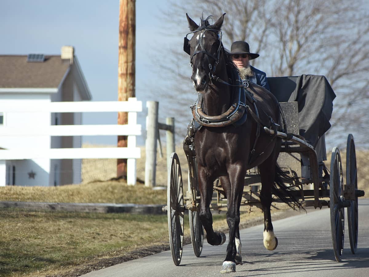 The Amish Community: Sexual Abuse and Other Sins - The CrimeWire