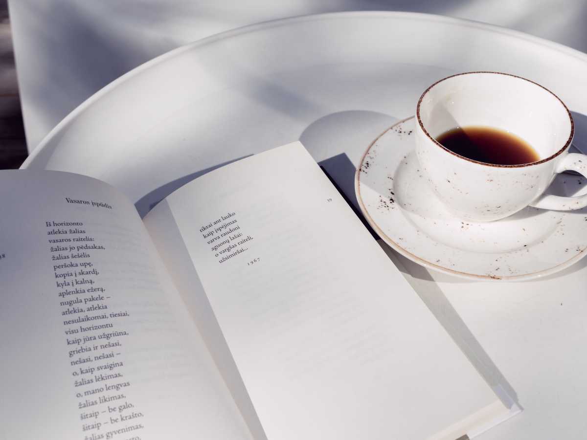 Analysis Of The Poem Litany By Billy Collins Owlcation