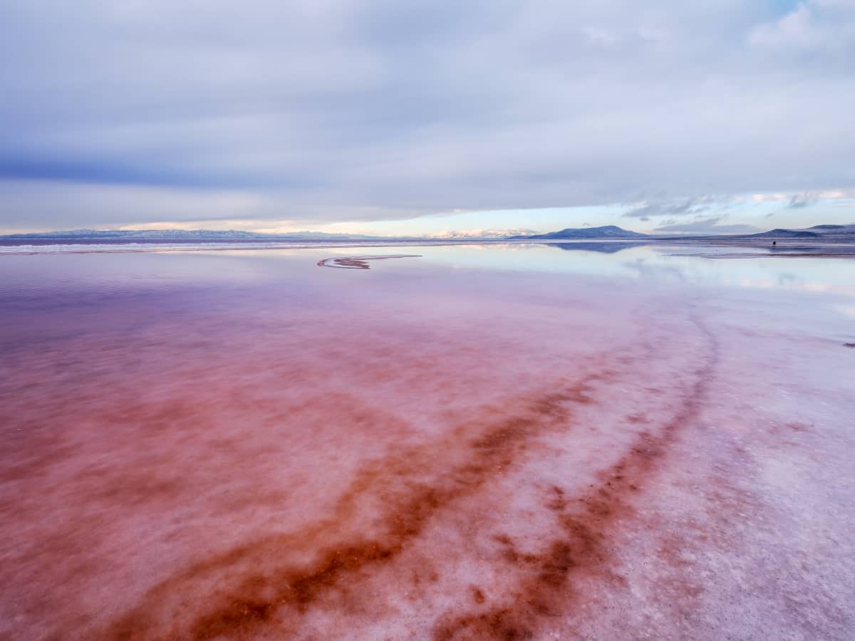 Video of Pink Water at Great Salt Lake in Utah Is Pretty Impressive -  WanderWisdom News