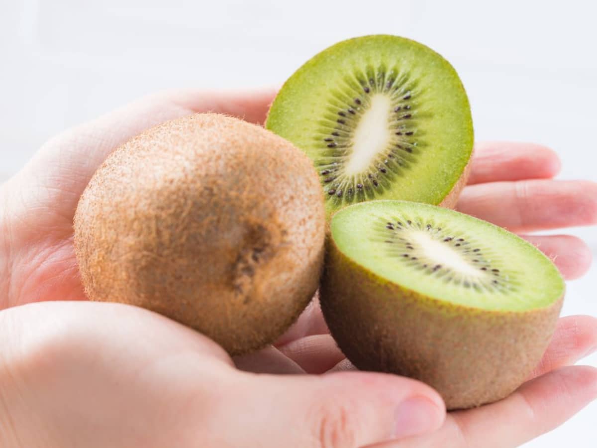 Kiwi Fruit Harvest - When And How To Pick A Kiwi