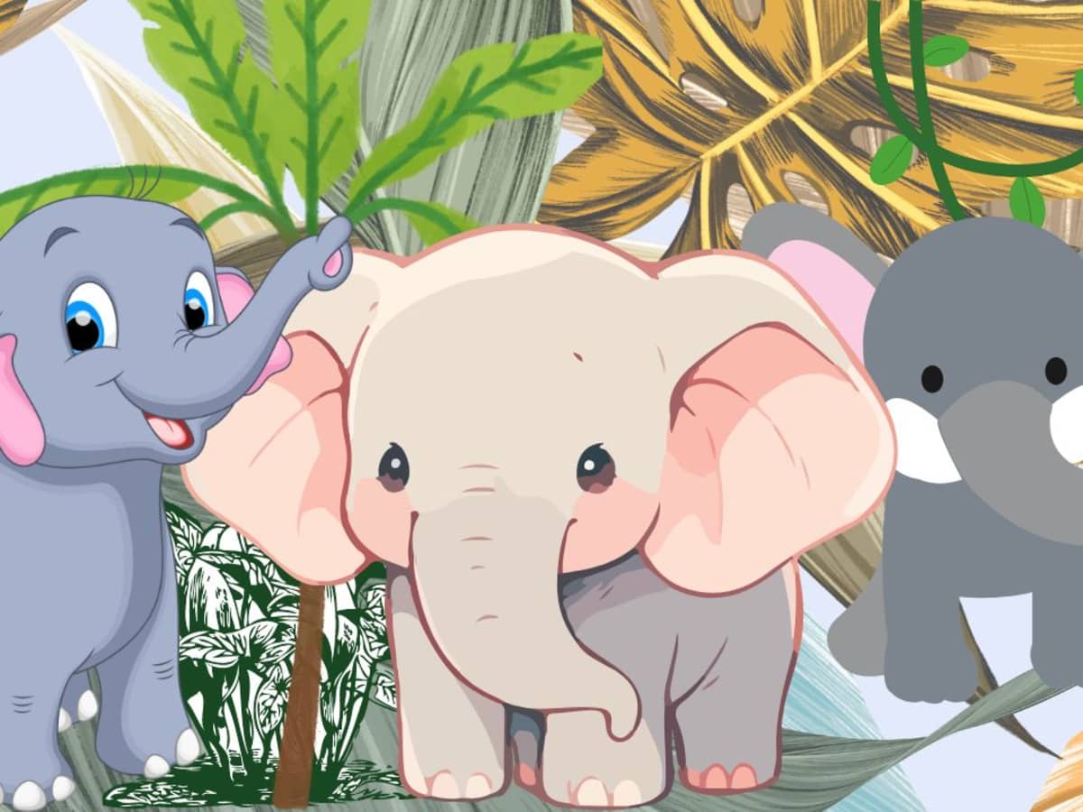 Information and Facts About Elephant Babies