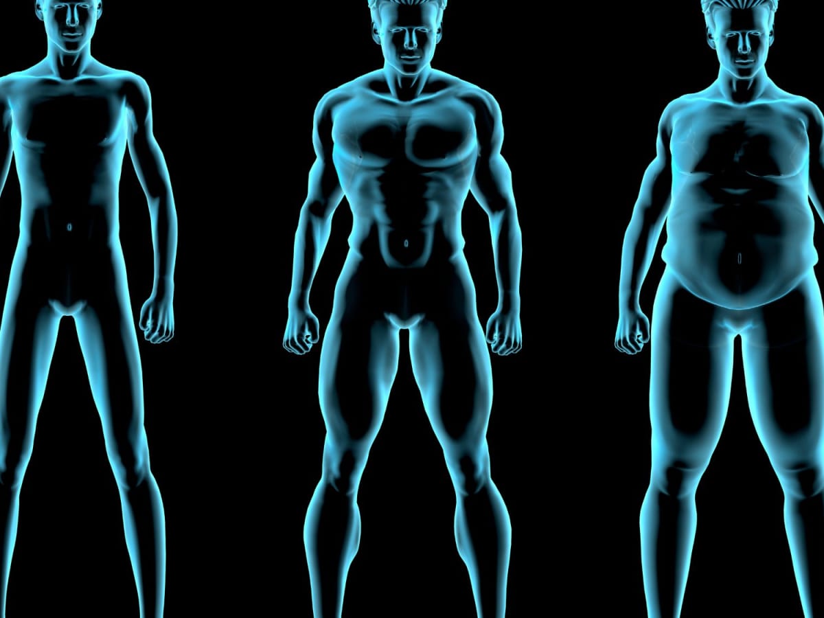 How to Change Your Body Type to Ectomorph, Mesomorph, or Endomorph