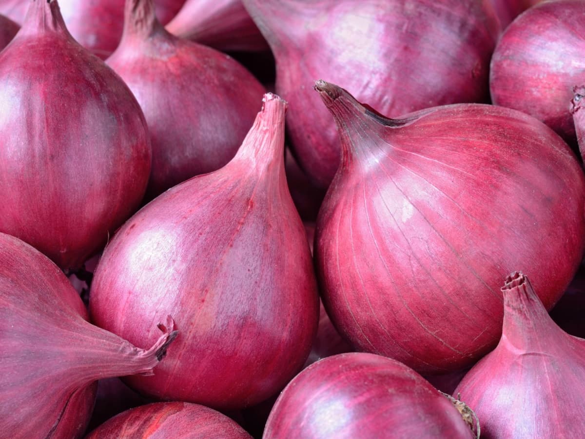 I love how perfectly thin my mandoline slicer cuts my onions, and I love  this sub! : r/OnionLovers