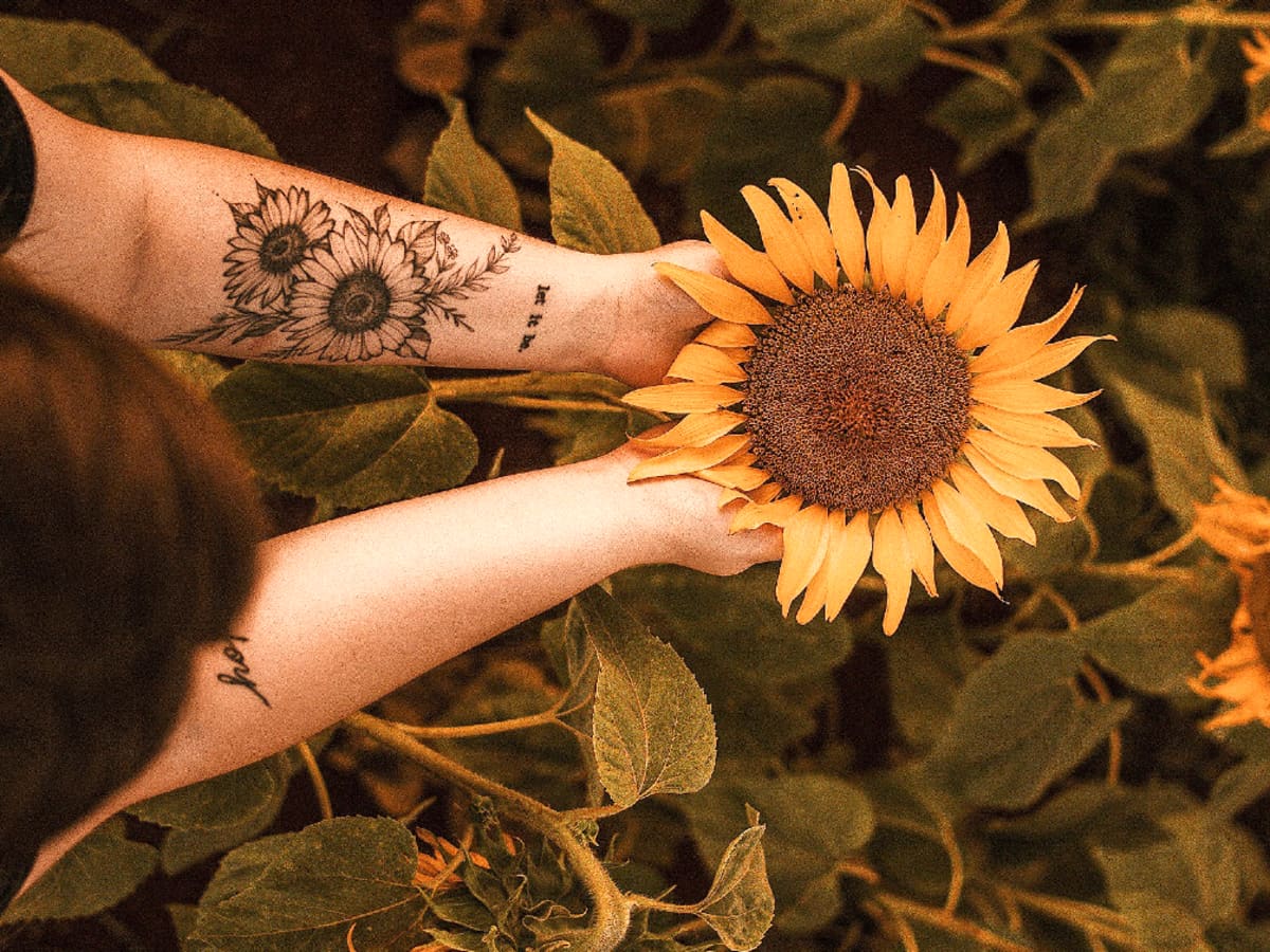 Sunflower Tattoo On Young Womans Arm Stock Photo - Download Image Now -  Tattoo, Arm, One Woman Only - iStock