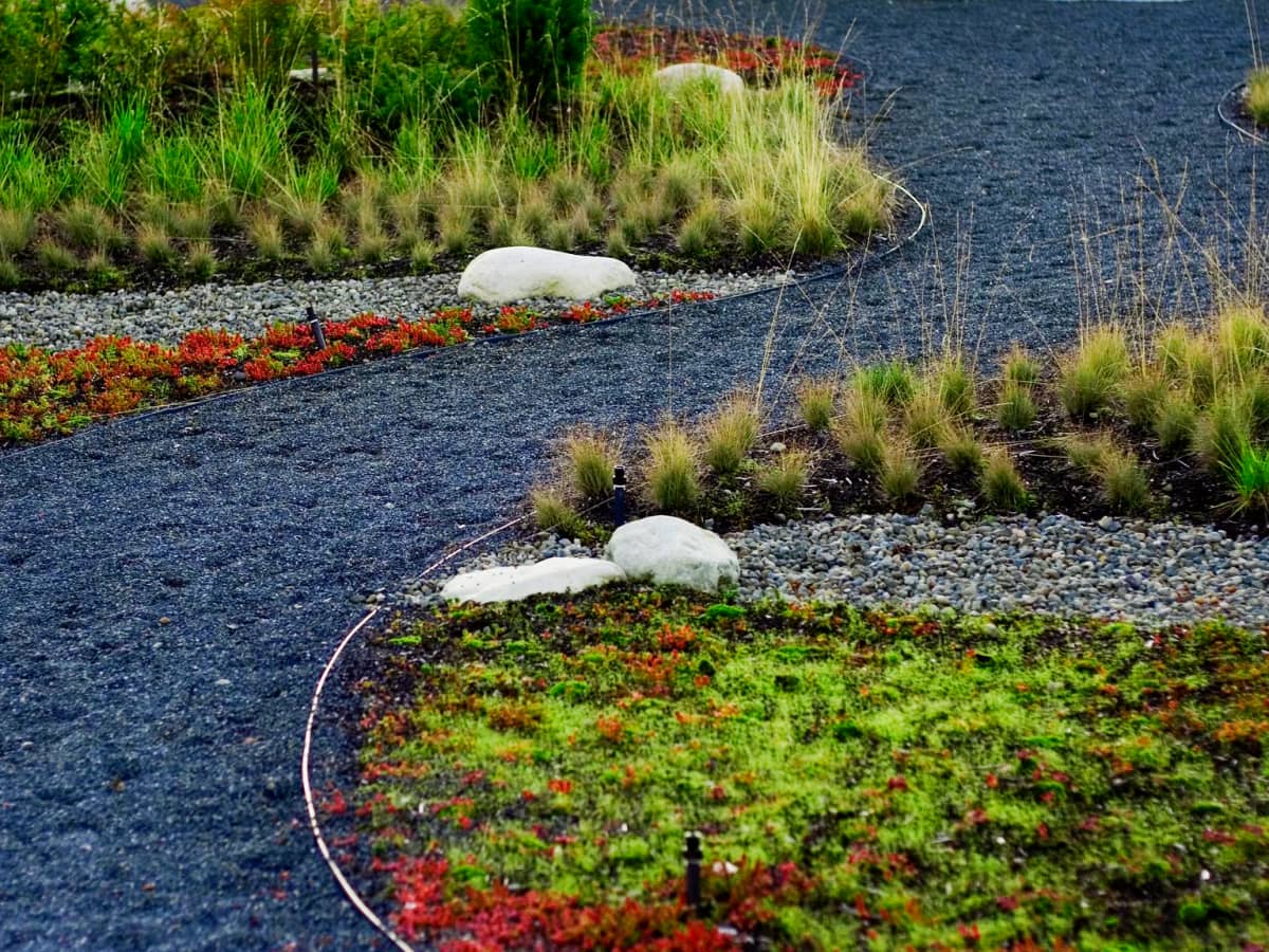 75 Small River Rock Landscaping Ideas You'll Love - January, 2024