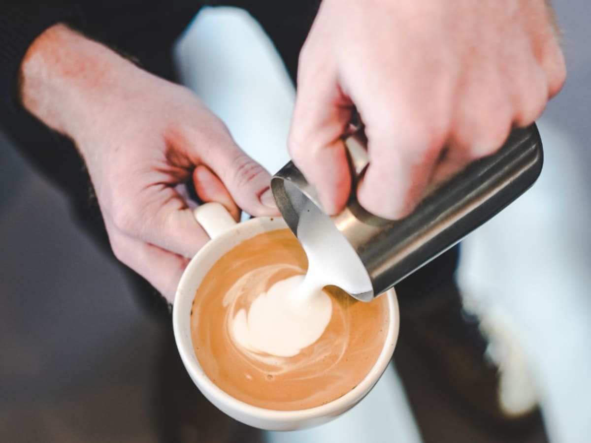 Best Milk Frother — Dianoo Espresso Milk Frother Pitcher – Laidrey