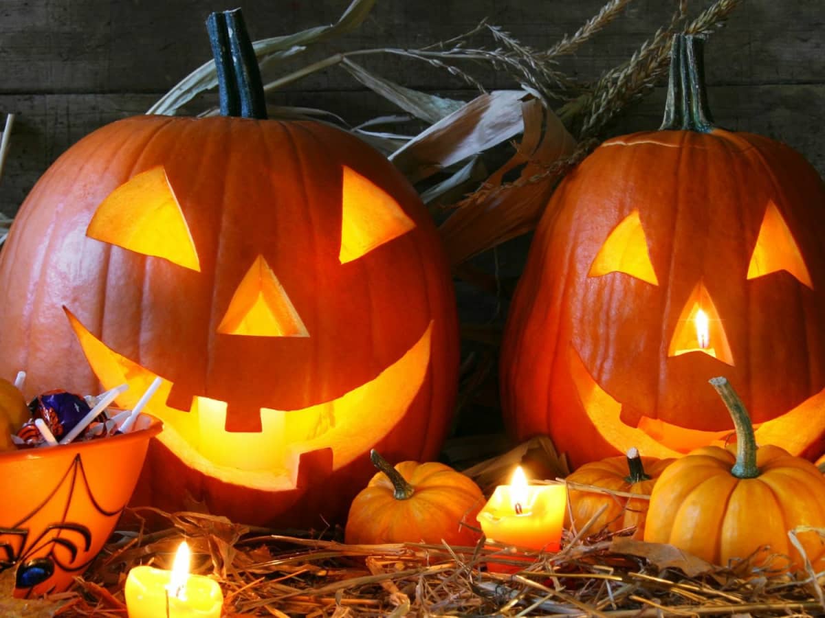 not-another-list-of-free-halloween-pumpkin-carving-patterns-hubpages