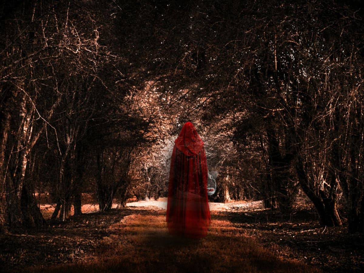 What are those large trees with sharp spikes called, seen in the 2011 film  'Red Riding Hood?' - Quora