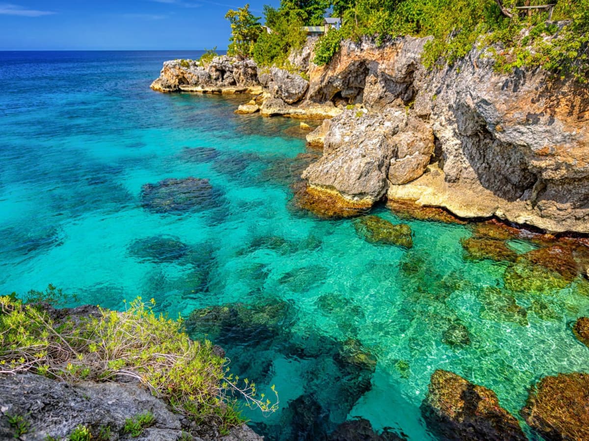 JAMAICA BEACH BUMS