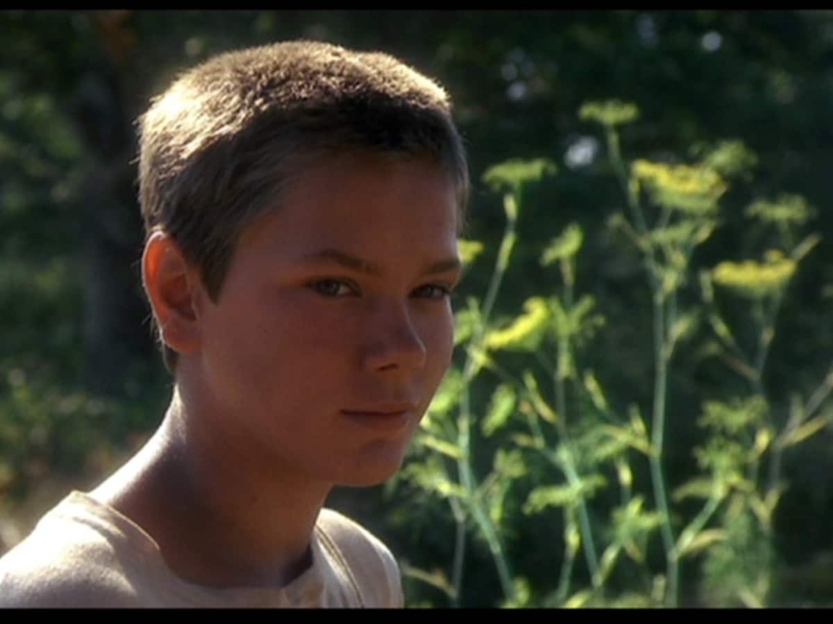 IMDB Reviews Dataset, image size:1200x900