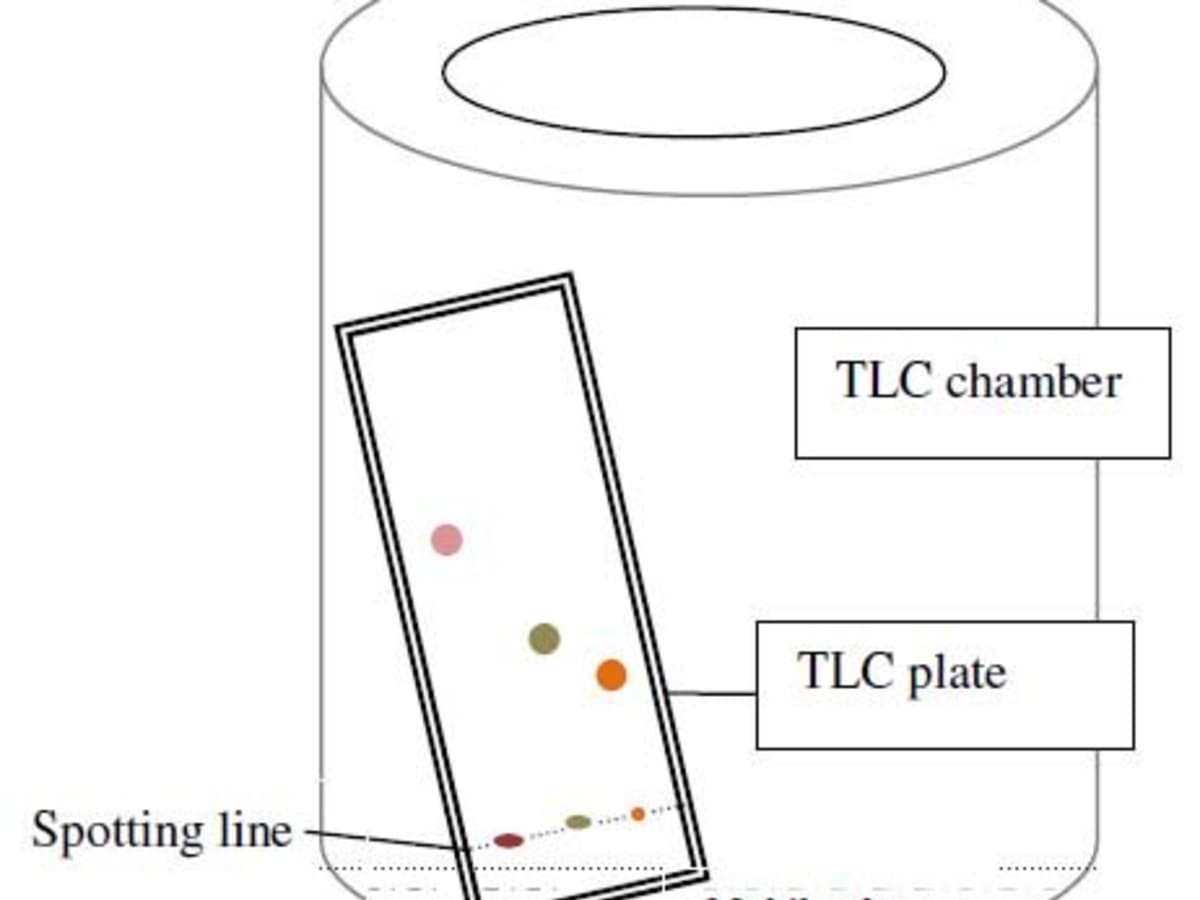 Thin Layer Chromatography Tlc Principle And Procedure Owlcation