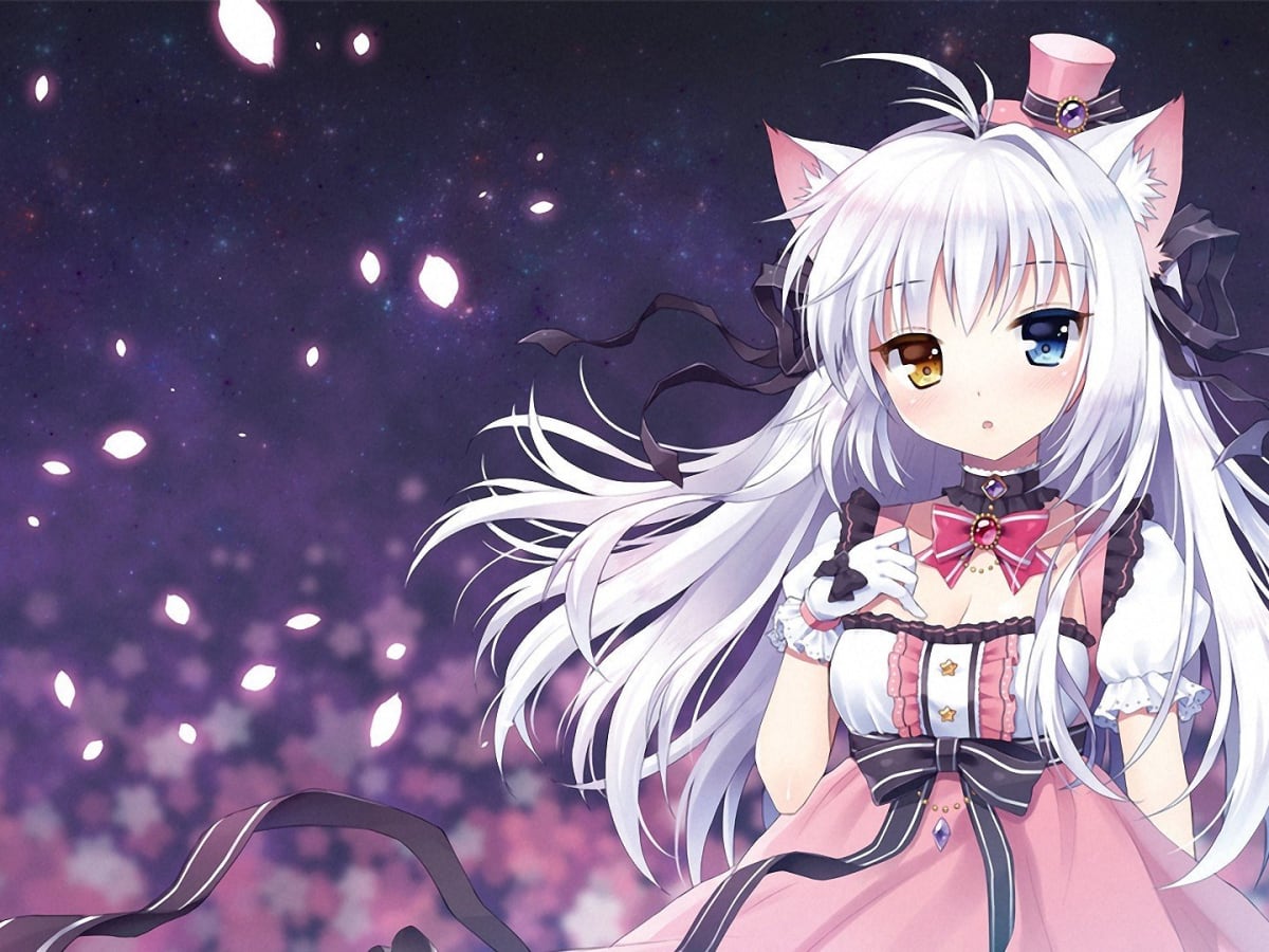 Everything You Need to Know About Anime Cat Girls - ReelRundown Everything You Need to Know About Anime Cat Girls - ReelRundown