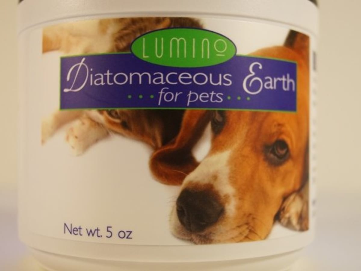 best diatomaceous earth for fleas