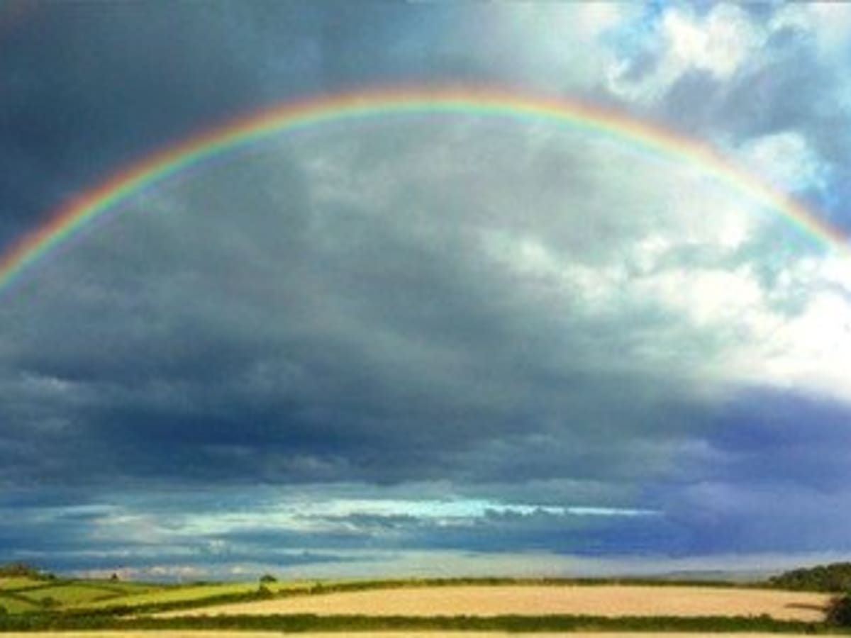 How To Remember The Order Of The Rainbow Colors Owlcation Education Rainbows in my mind ep. order of the rainbow colors