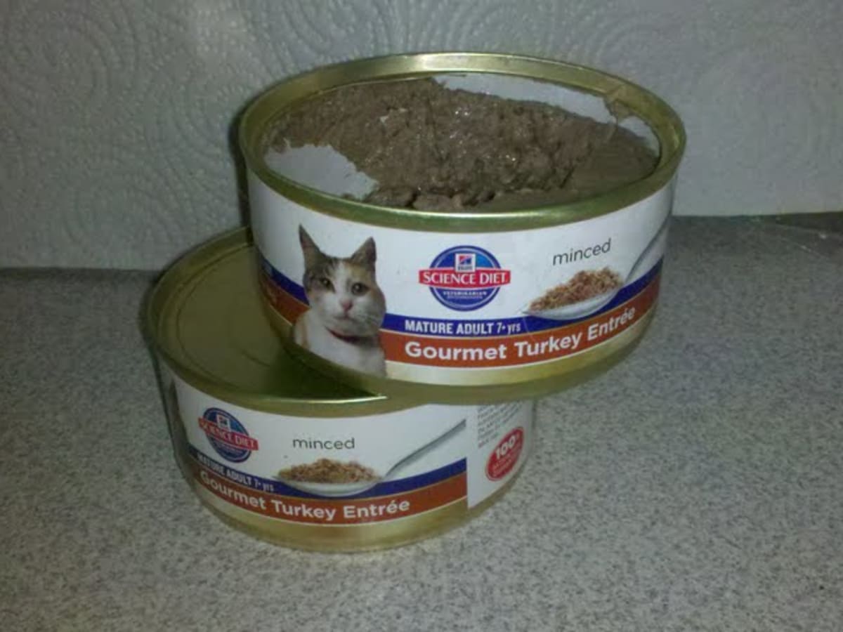 anti anxiety cat food