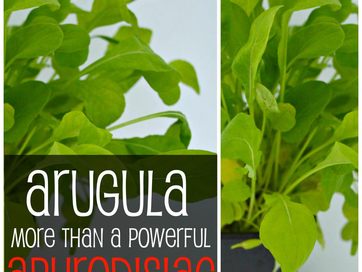 40 Arugula Health Facts Salad Rocket Nutrition Facts Hubpages