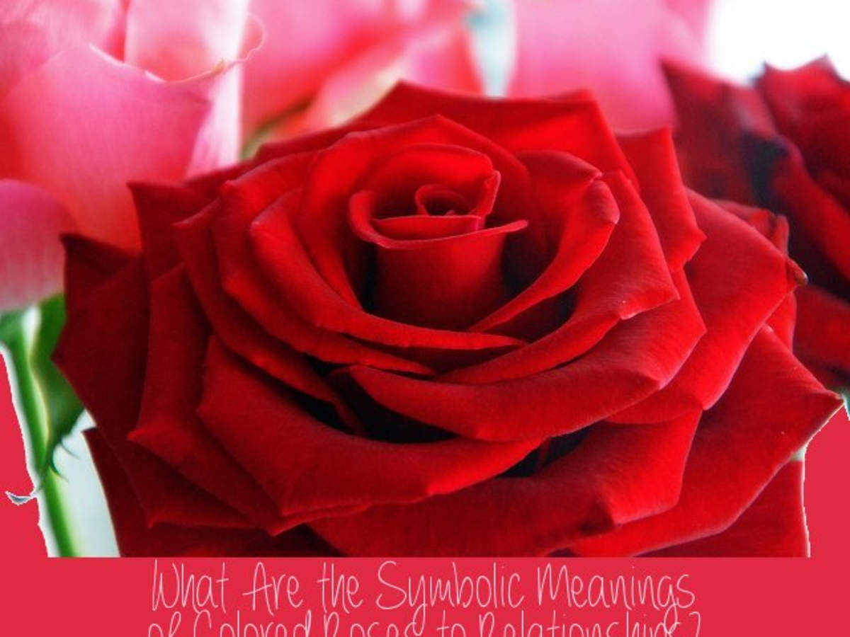 send my girlfriend flowers