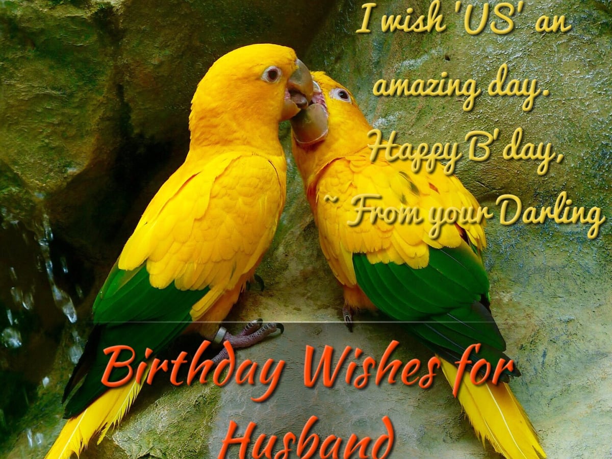 Romantic Birthday Husband Birthday Quotes From Wife Funny ...