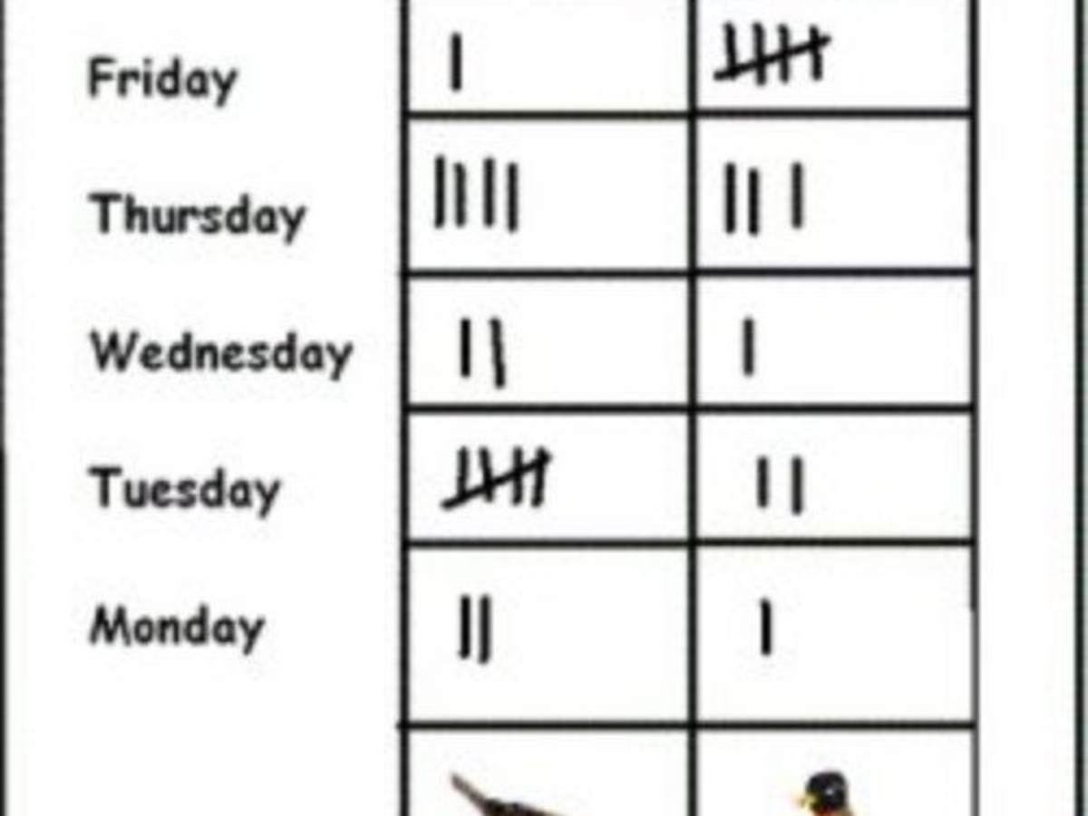 How To Teach Tally Marks To Children Wehavekids Family