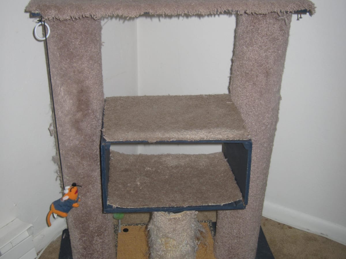 carpeted cat condo