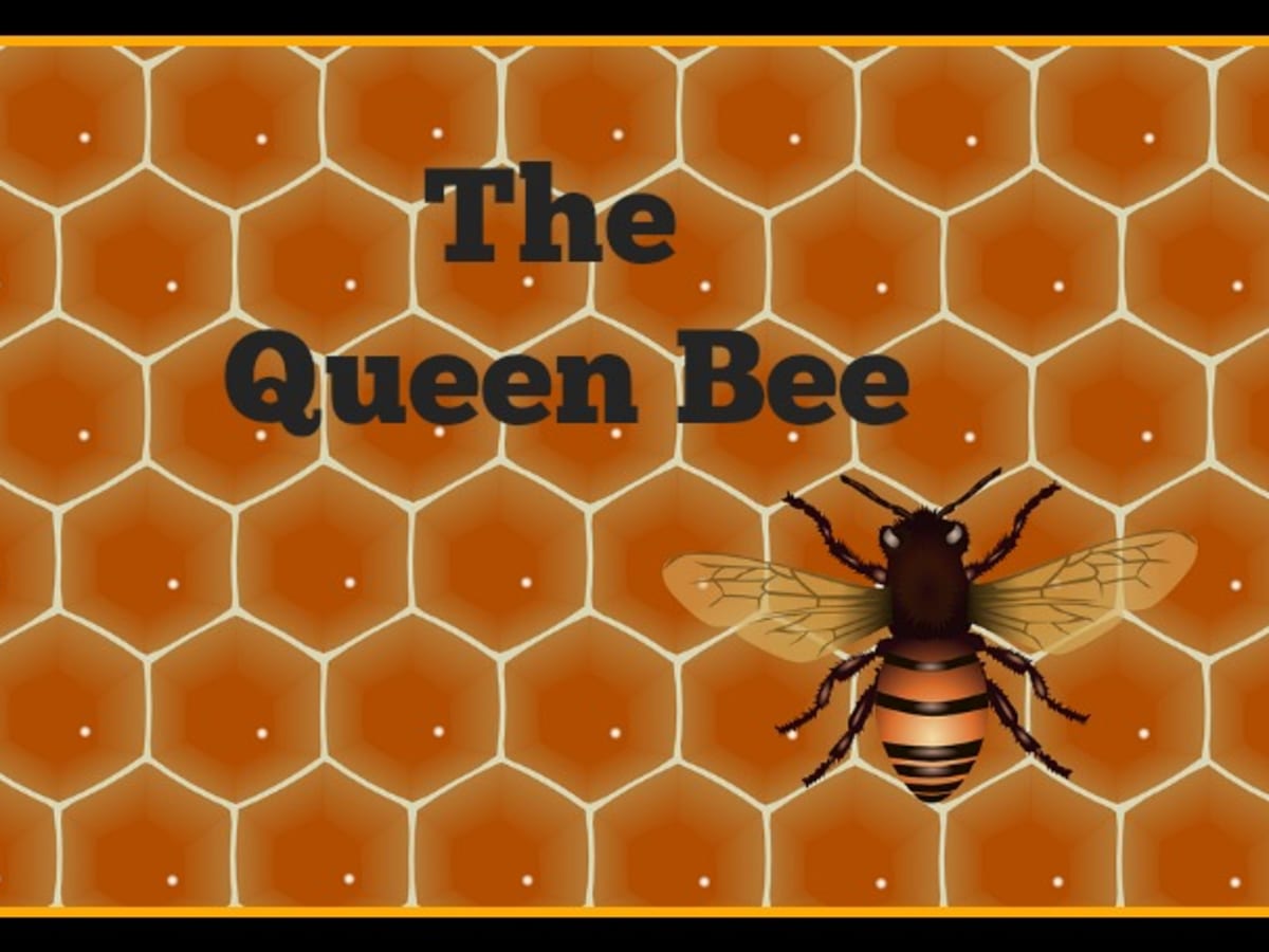 The Life Of The Queen Bee In The Honey Bee Hive Owlcation