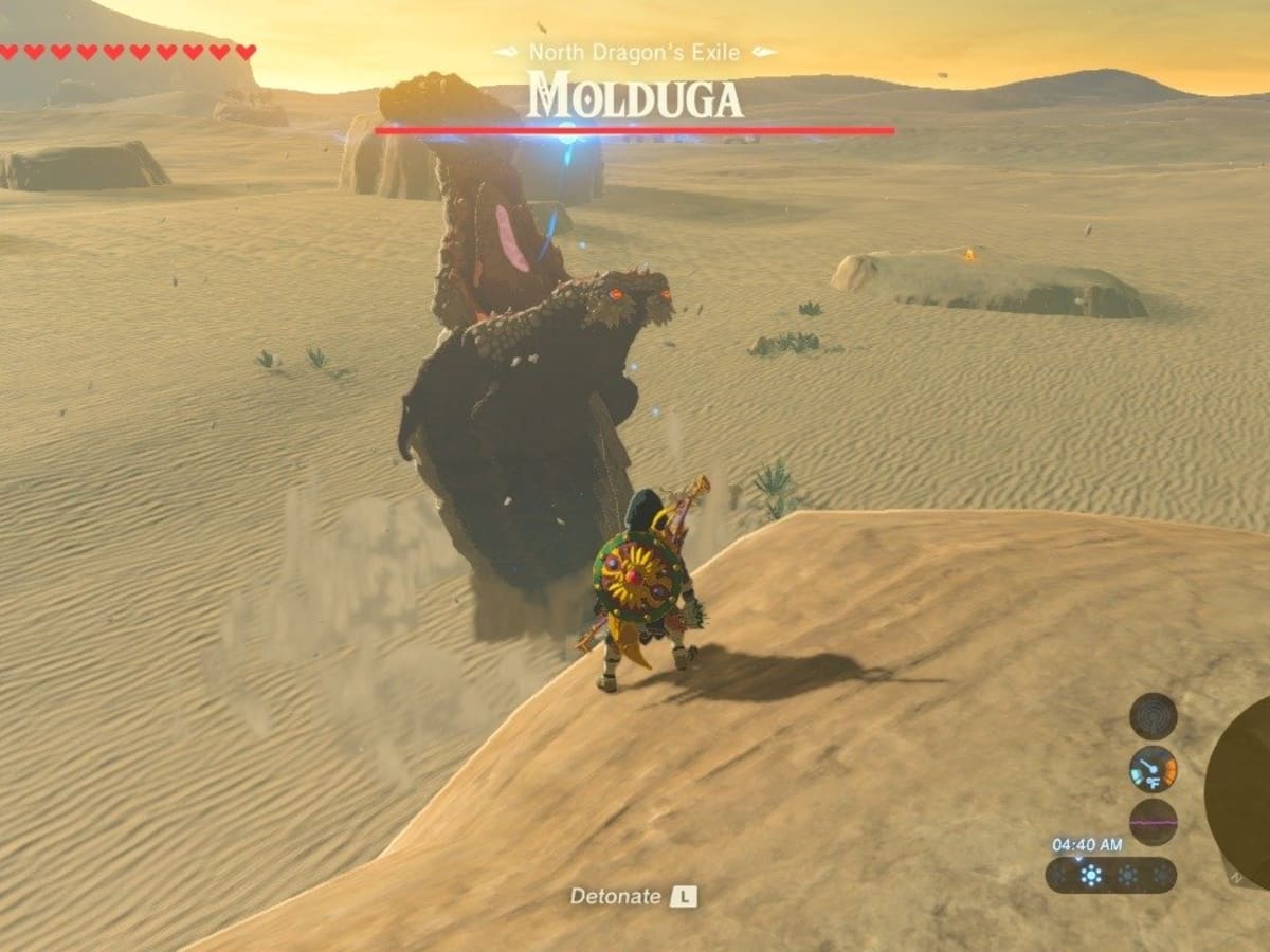 How To Defeat A Molduga In The Legend Of Zelda Breath Of The Wild Levelskip