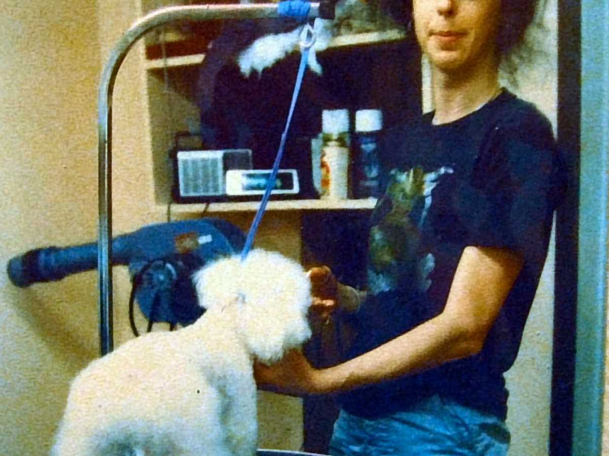 oster classic 76 for dog grooming