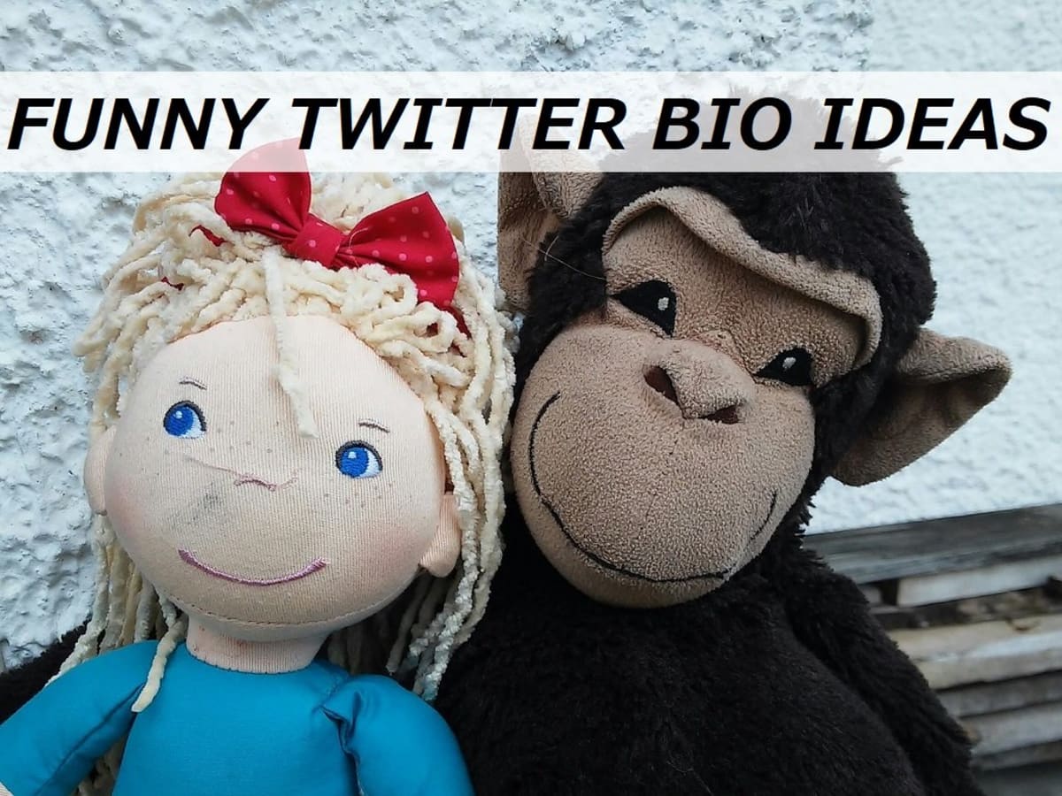 100 Funny Twitter Bio Ideas Turbofuture Technology