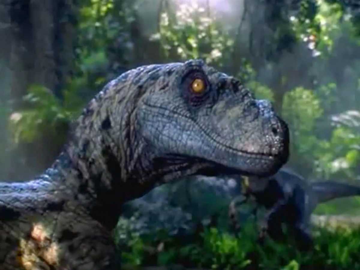 Velociraptor Quick Facts Owlcation