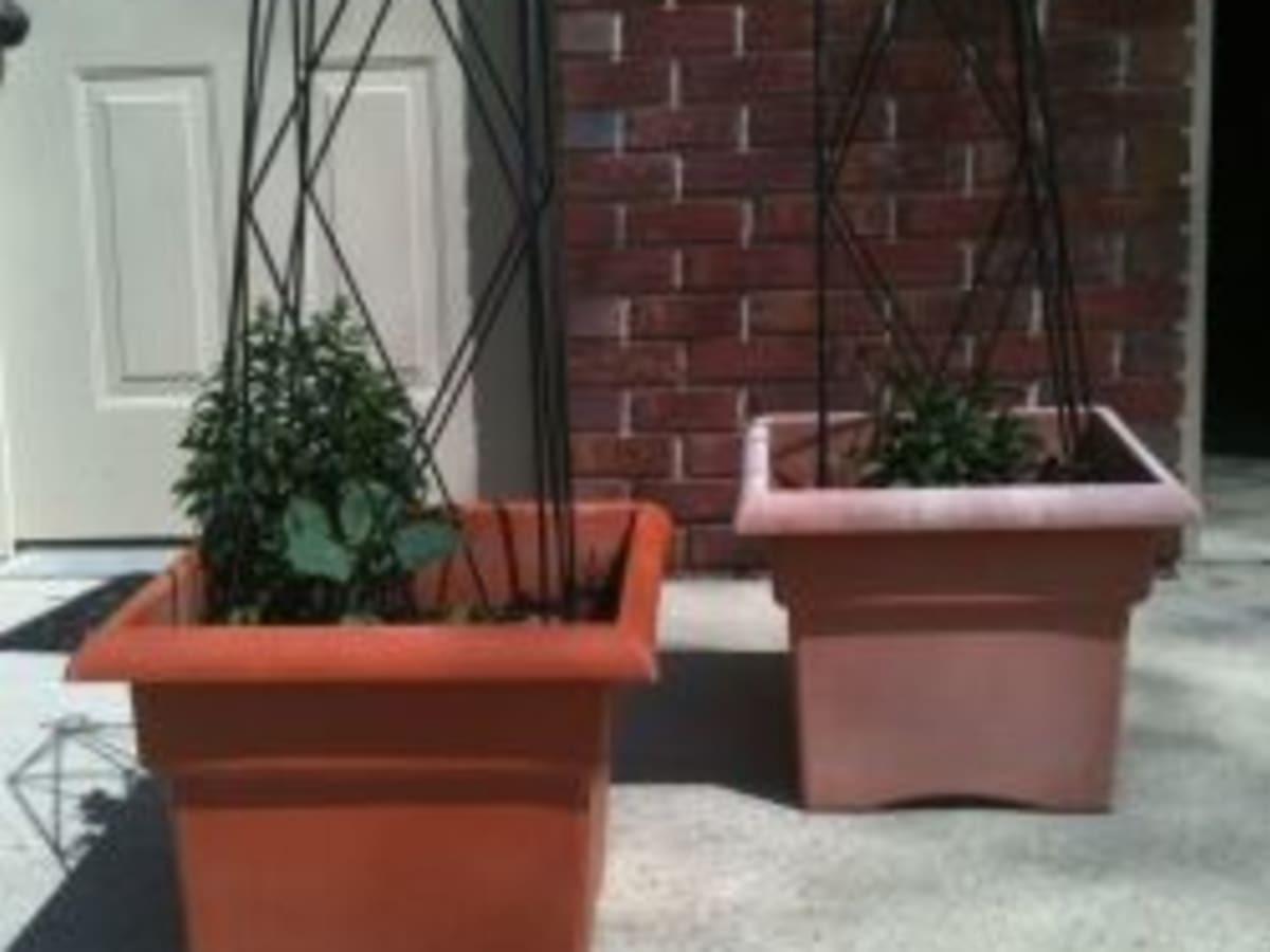 Can Faded Plastic Pots Be Saved Hubpages