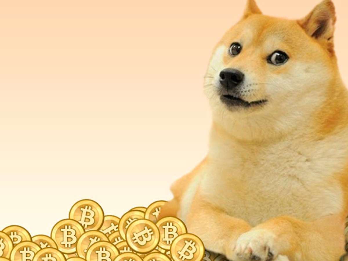 Will Doge Actually Go To The Moon Hubpages