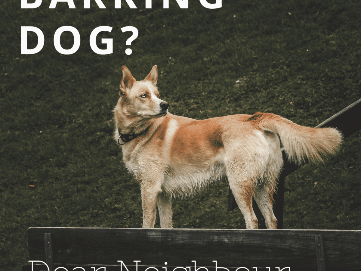 How to Write a Letter to Your Neighbour About Their Barking Dog - PetHelpful