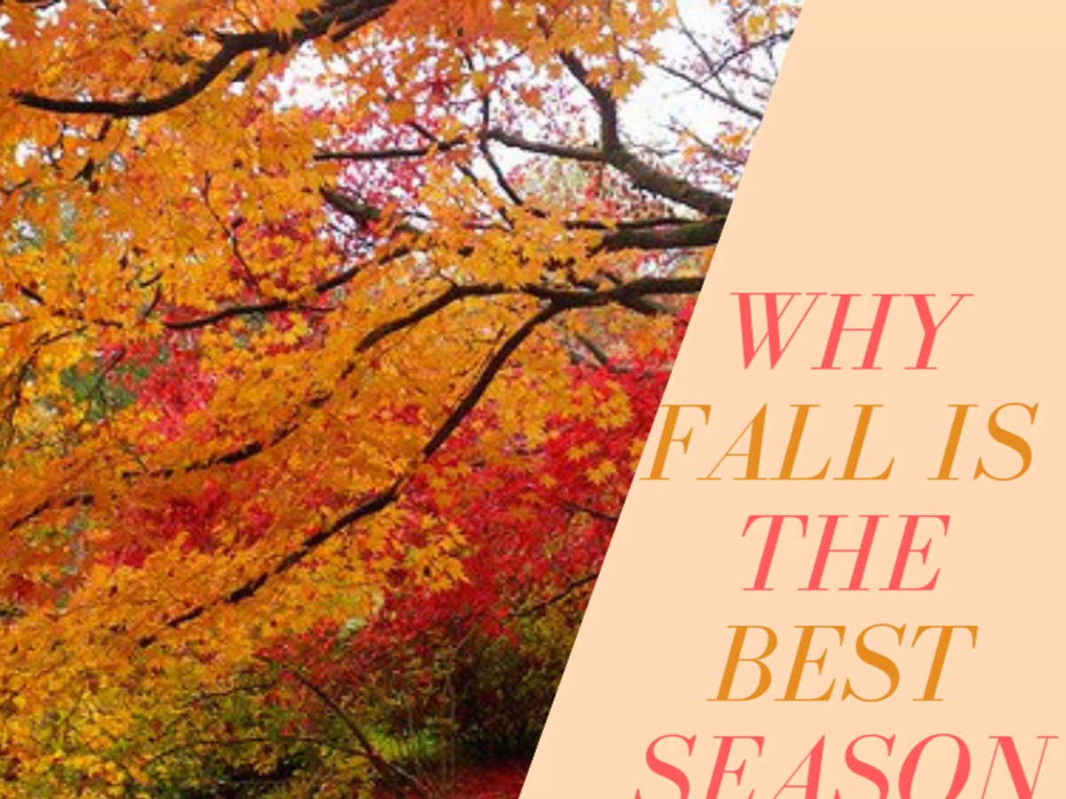 Winter Vs. Autumn, Just because I enjoy seeing the differen…