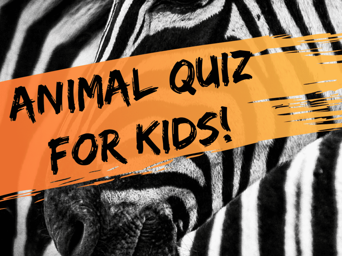 Multiple-Choice Quiz for Kids: Fun Animal Trivia Questions - WeHaveKids