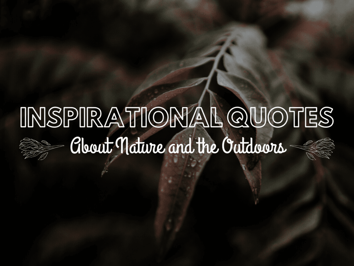 Inspirational Quotes About Nature and the Outdoors - Holidappy