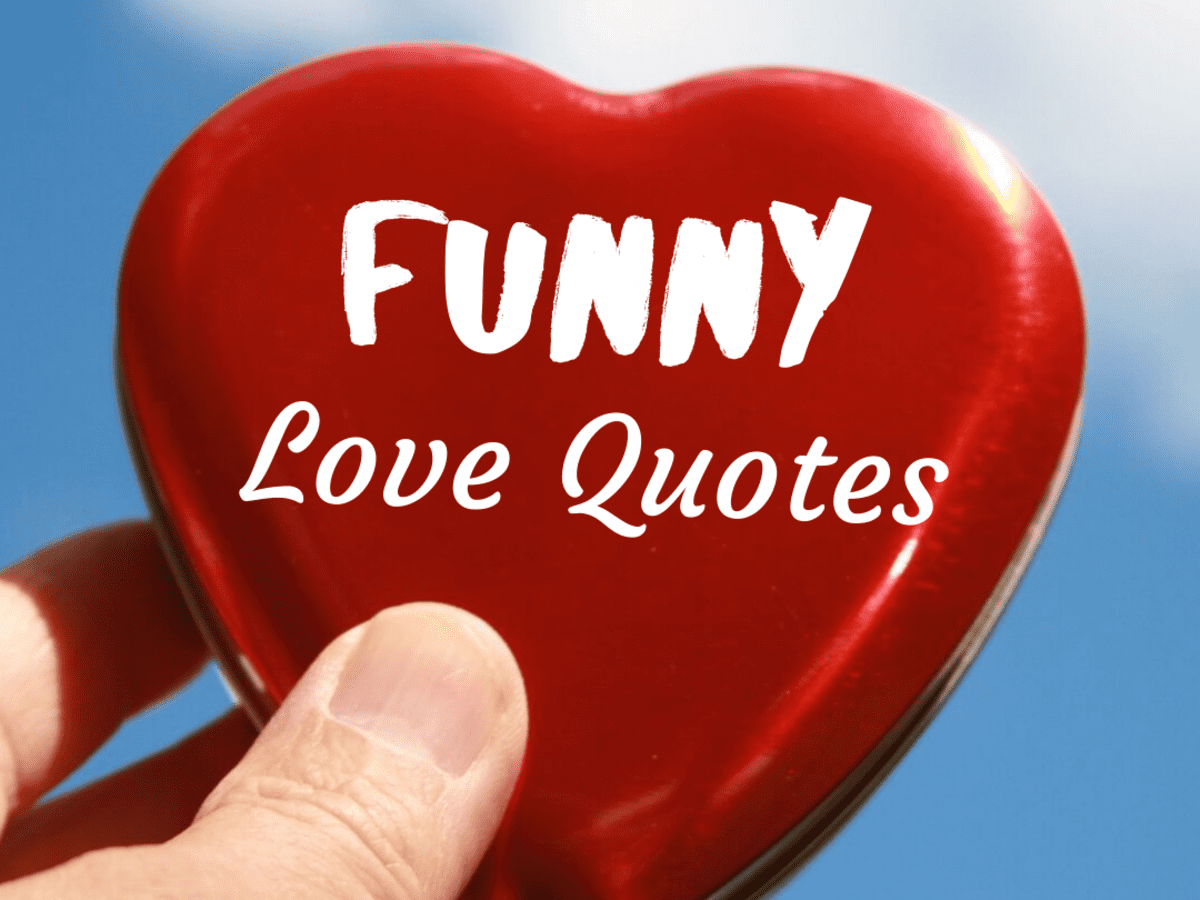 Top 10 Best Funny Love Quotes - Holidappy