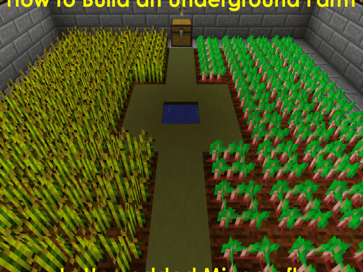 Plant Grass à l'intérieur Minecraft