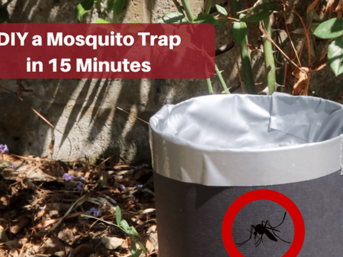 how to make a homemade mosquito trap for organic mosquito control