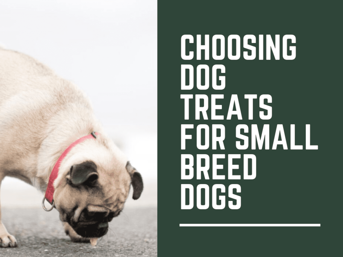 what are the best dog treats for small dogs