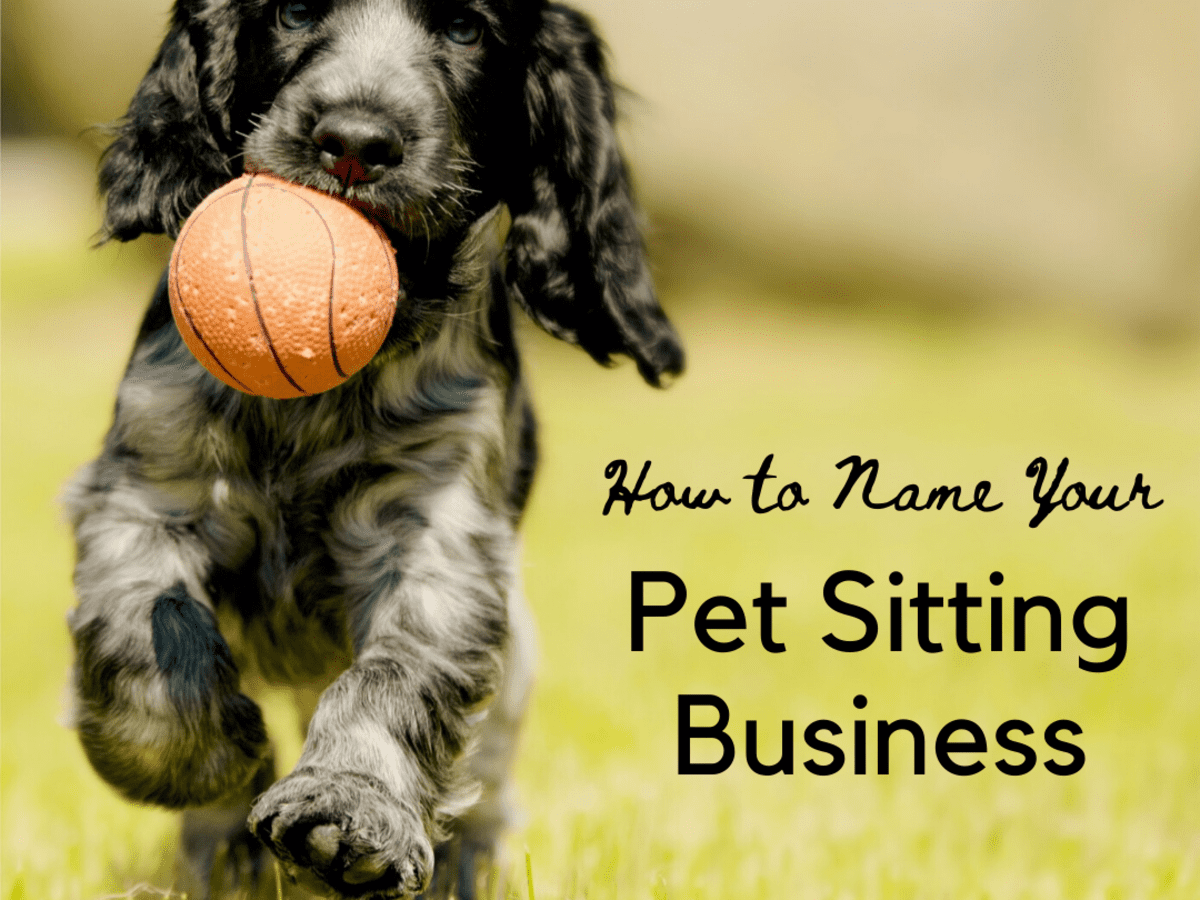 50 Fantastic Pet Sitting Business Name Ideas - ToughNickel
