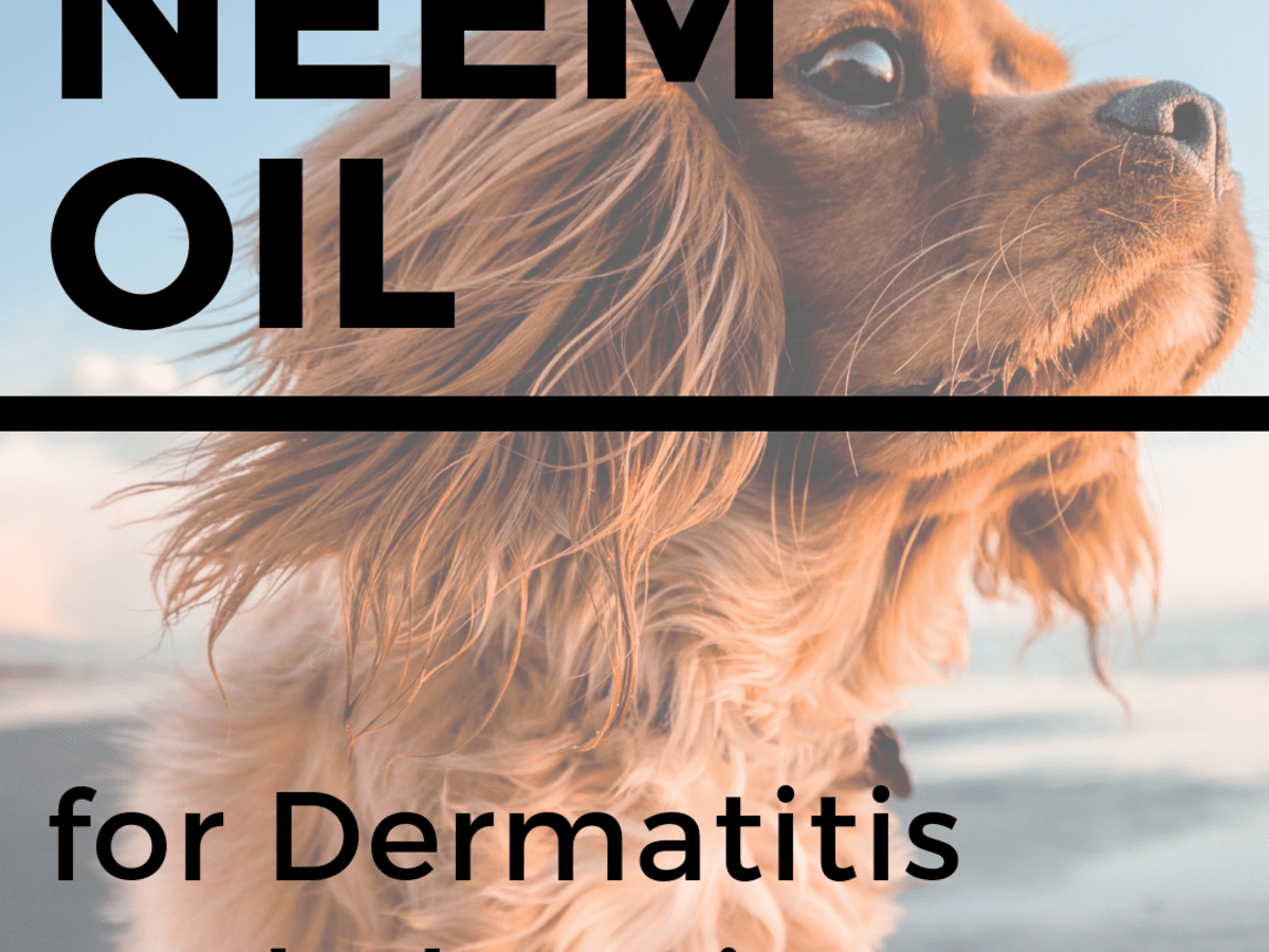 Neem Oil for Dogs Stops Itching, Heals 