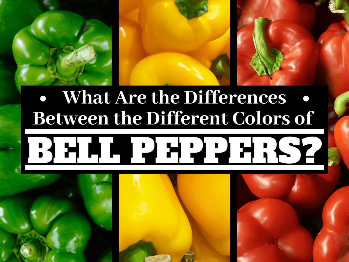 What is the Difference Between Green, Red, and Yellow Bell Peppers