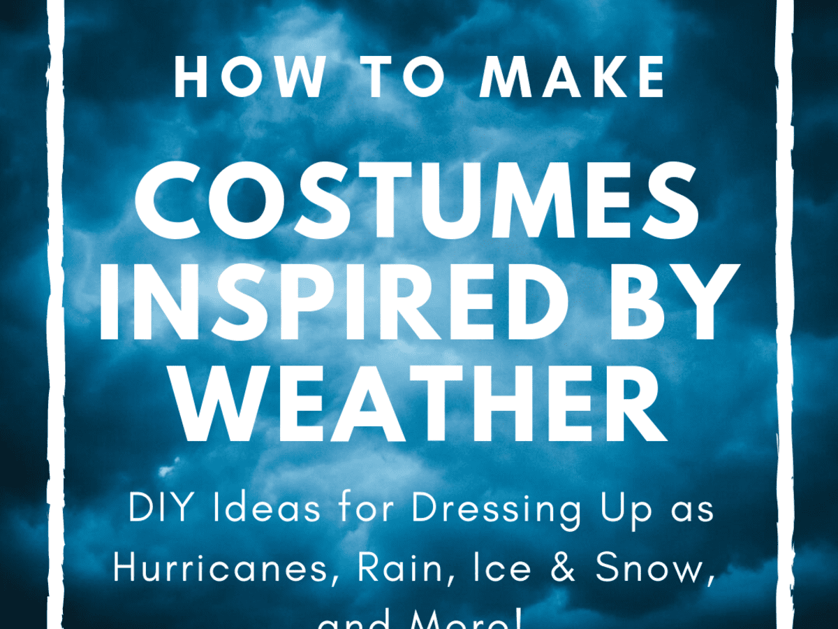 Weather Costume Ideas For Halloween Fun Holidappy