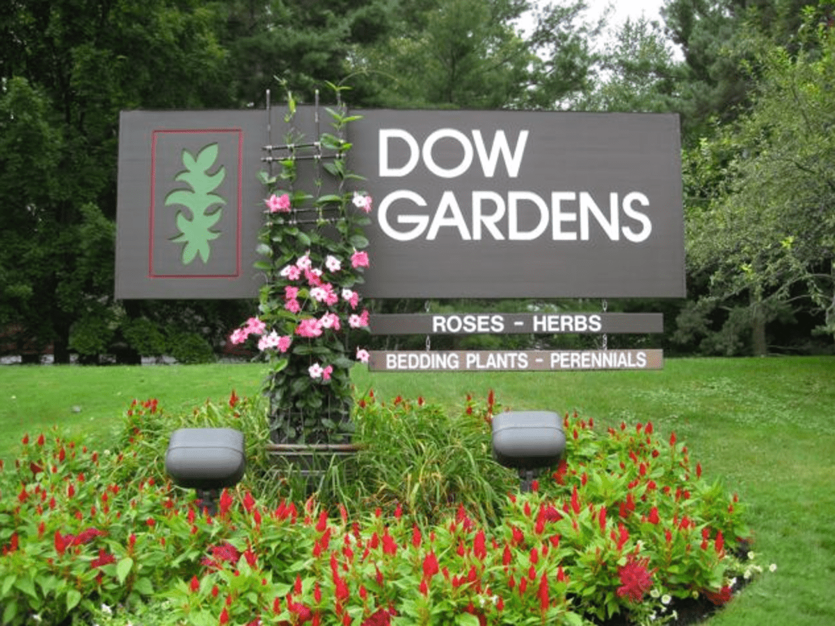 Erfly Exhibit Dow Gardens In