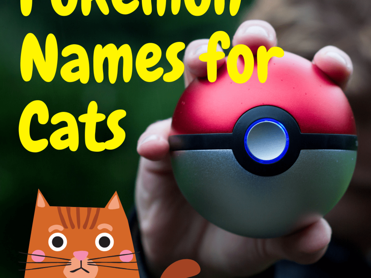 150 Pokemon Cat Names Pethelpful