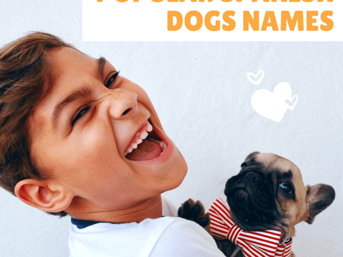 100 Popular Spanish Dog Names And Meanings Pethelpful