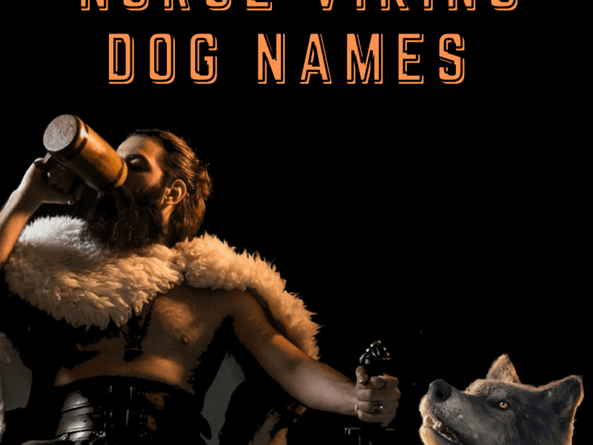 110 Norse Viking Dog Names With Definitions Pethelpful