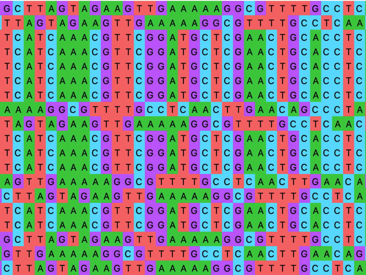 Phylogenetic tree constructed using EMA1 amino acid sequences generated