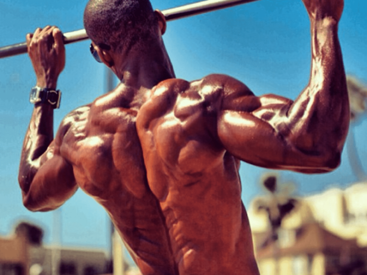 Developing a Lean and Muscular Back - HubPages
